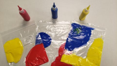 Small squeeze bottles full of red, blue, and yellow paint. Quart plastic bags with separated red, yellow, and blue paint ready to mix.