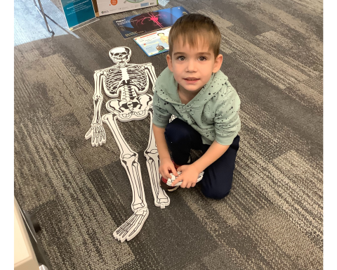 child with completed foam skeleton puzzle