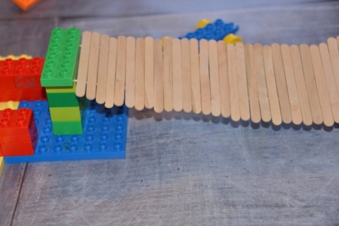 Bridge Building Activity