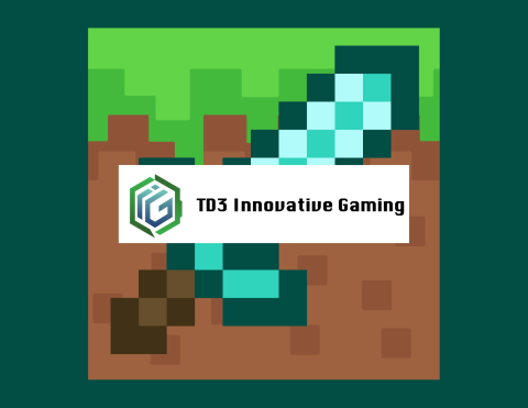 TD3 Innovative Gaming: Minecraft