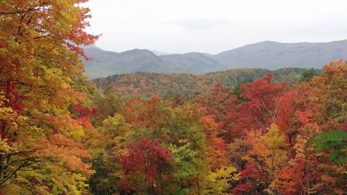 Autumn in the Smoky Mountains