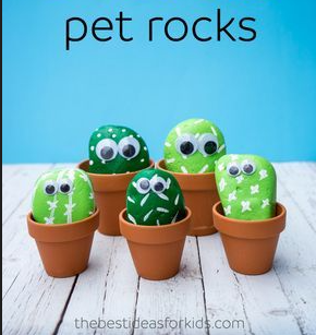 Pet Rocks